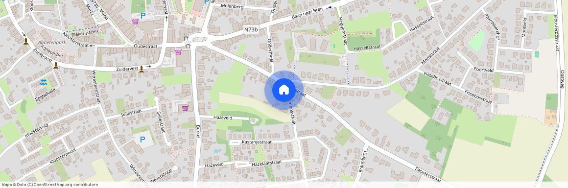 Beukenbosstraat 2 / A, 3990 Peer