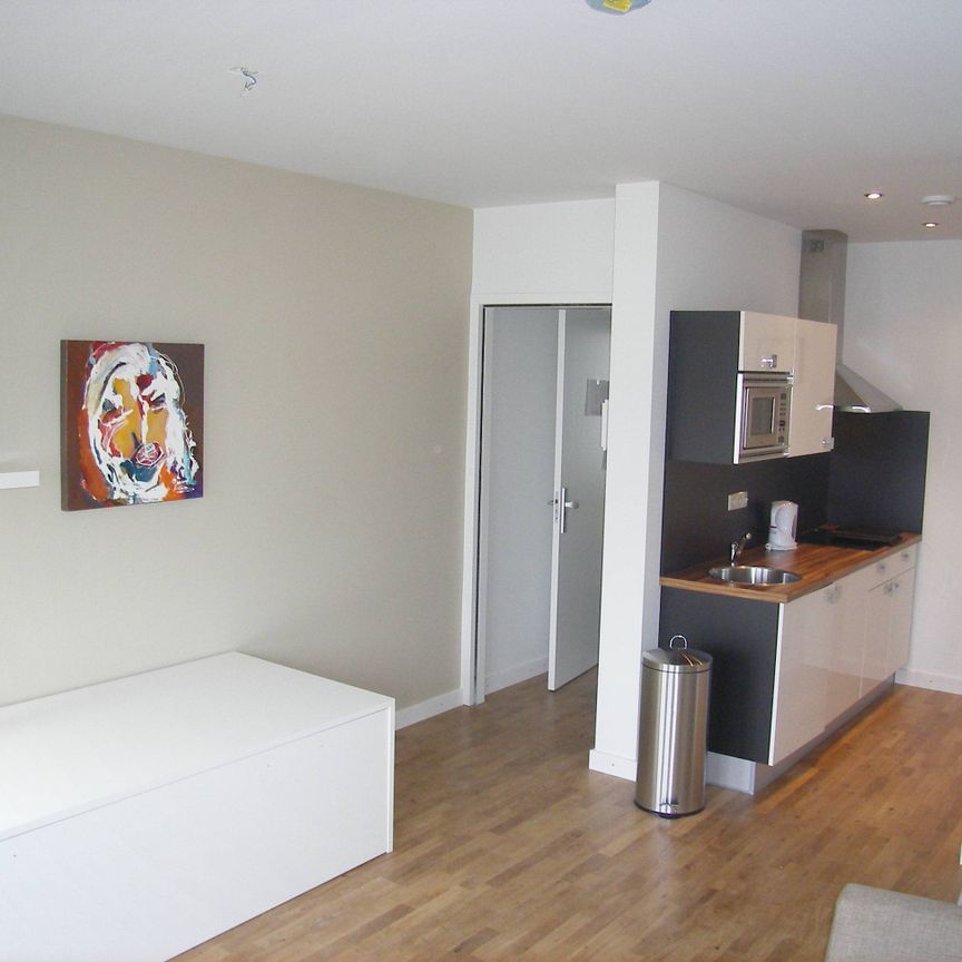 Te huur: Studio Kesselskade 53 C 492 in Maastricht - Photo 1