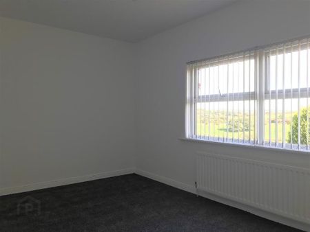 226 Doury Road, Ballymena, BT43 6SS - Photo 3