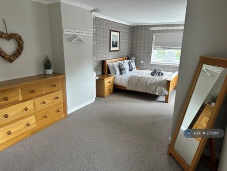 3 bedroom penthouse to rent - Photo 5