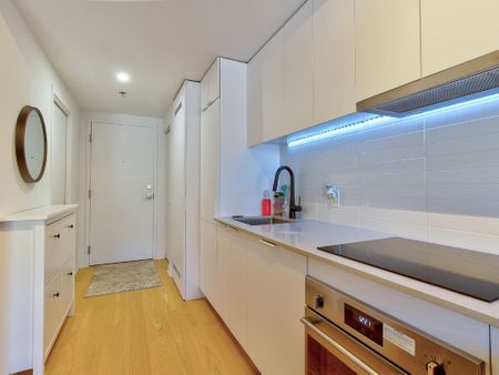 1406 Rue Ste Élisabeth, Montréal (Ville-Marie), QC H2X - Photo 3