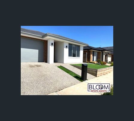 56 Stonecrop Way, Wyndham Vale, Vic 3024 - Photo 1
