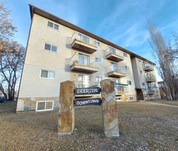 Large 1 Bedroom Unit Close to All Amenities!! - Photo 3