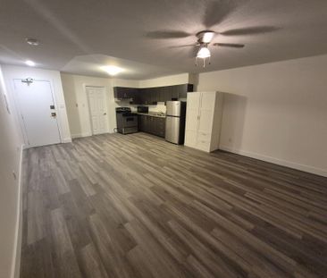 For Lease - 27 Bridge Street Unit# 107, Brantford, Ontario - Photo 2