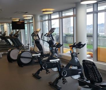 $2,200 / 1br – 563ft2 – A Breathtaking 1 bed, 1 bath with UNOBSTRUC... - Photo 5