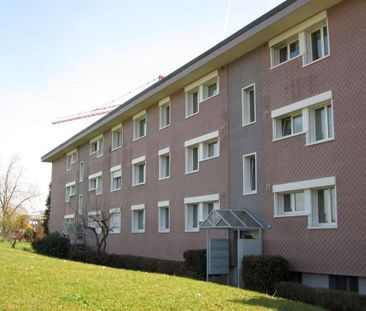 Wohnung an perfekte Lage in Zürich Seebach - befristet bis 31.03.2028 - Foto 5