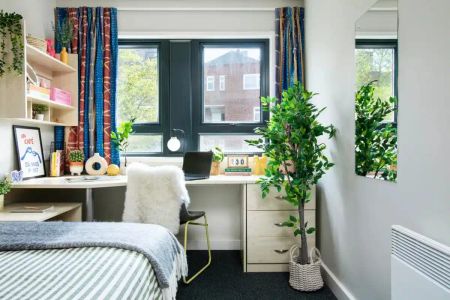 Large Standard Single Ensuite: Three Bed Flat - Photo 5