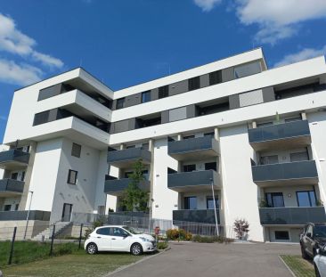 Top 19: Moderne 3-Zimmer-Wohnung mit Loggia in Toplage von Schärdin... - Photo 4