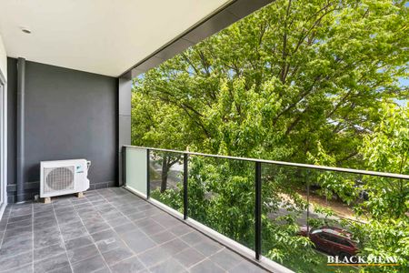 Extra Large One Bedroom Apartment in the Parliamentary Triangle - Photo 2