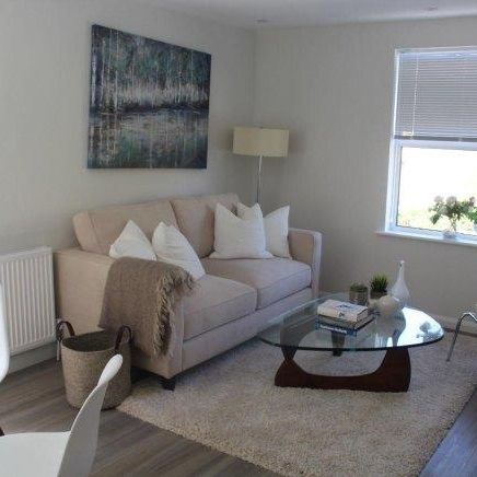 3 bedroom house share to rent - Photo 1