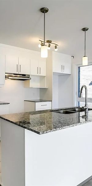 239 Rue De Liverpool (Aylmer) Superbe Appartement 4 1/2 - Photo 1
