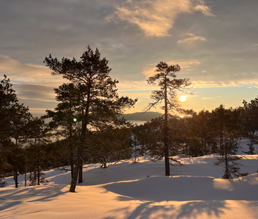 Petsamovägen, Mjällom - Photo 2