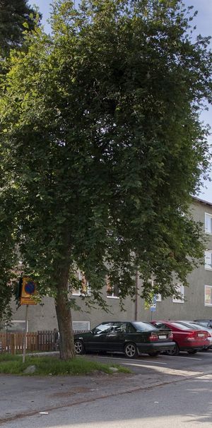 Kaj Munks väg 2, Stockholm - Foto 1