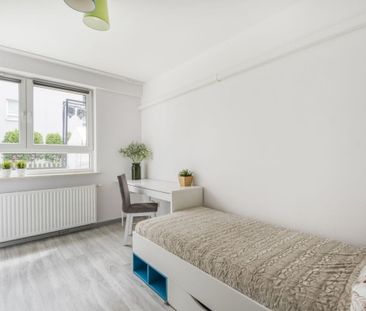 3 POK, 2 OGRÓDKI, KLIMA, GARAŻ, YES FOR PETS! 50.6 m² - Photo 5
