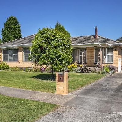 57 Harold Street, Wendouree VIC 3355 - House For Rent | Domain - Photo 1