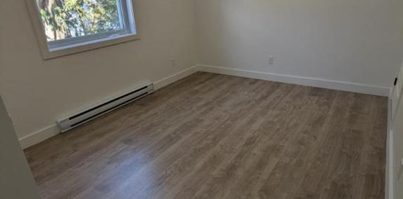 Immense 51/2 avec accès à la cour - Photo 2