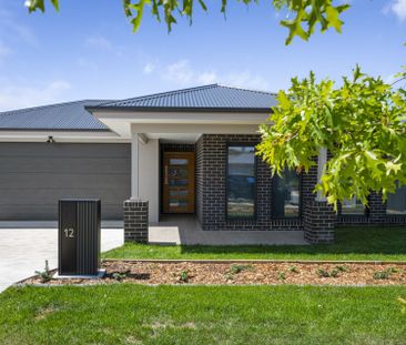 12 Courtney Street, Googong - Photo 4