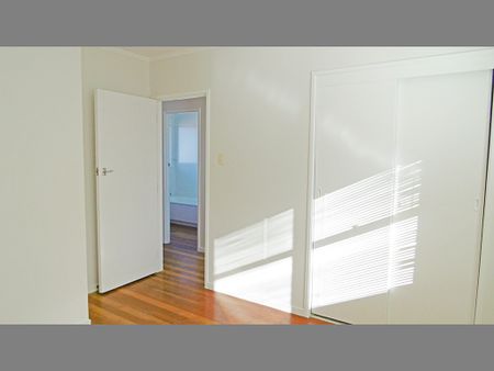 Sunny Rear Elevated Unit - Photo 3