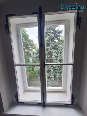 Theologie-Student/in AUFGEPASST - Wohnen im Kloster; - Photo 5
