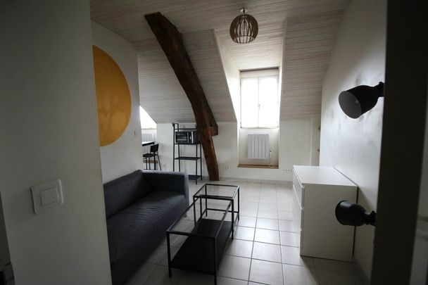 Location Appartement 1 pièce 24m² NANTES 44100 - Photo 1