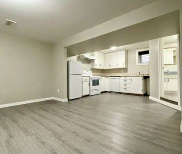 Legal Suite 1 Bed 1 Bath - Amazing Location in Strathearn | 9224 85... - Photo 1