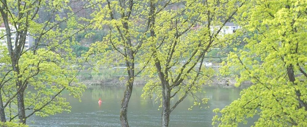 Wunderschöne 2-Zimmerwohnung mit tollem Ausblick auf die Mosel und großem Balkon... - Photo 1