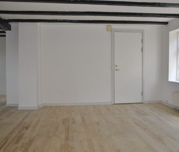 Mageløs - Foto 6