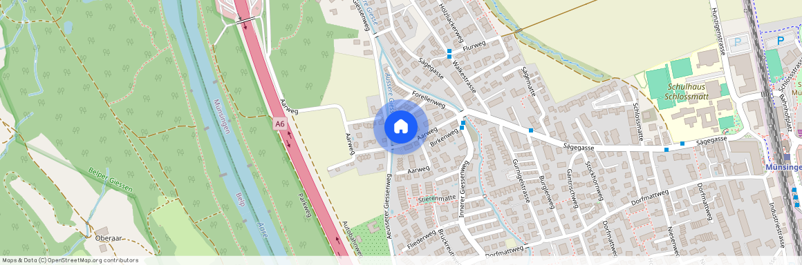 3110, Münsingen, Aarweg, 6a