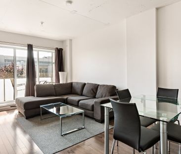 Condo for rent, Montréal (Ville-Marie) - Photo 6