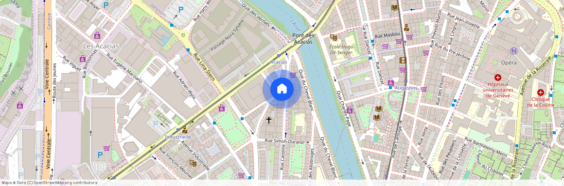 Rue Caroline 8, 1227, Les Acacias