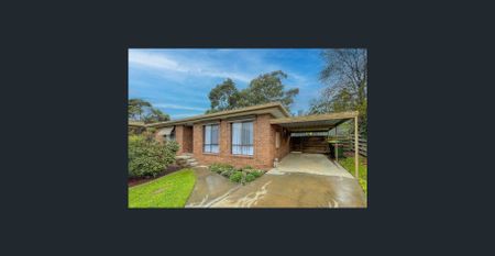 Neat, Private Unit - Photo 5