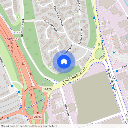 Camberwell Close, Festival Park, NE11