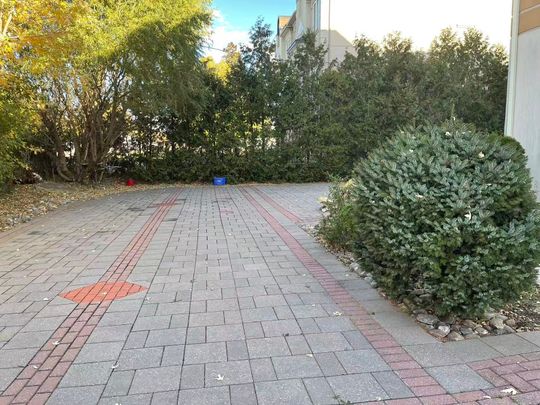 For Lease - 83 Elm Avenue, Richmond Hill, Ontario - Photo 1