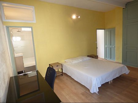 AVIGNON INTRA MUROS: Magnifique appartement en duplex refait à neuf climatisé avec cour privative - Photo 3
