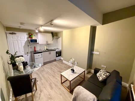 Studio Flat, Lena Gardens, W6 - Photo 5