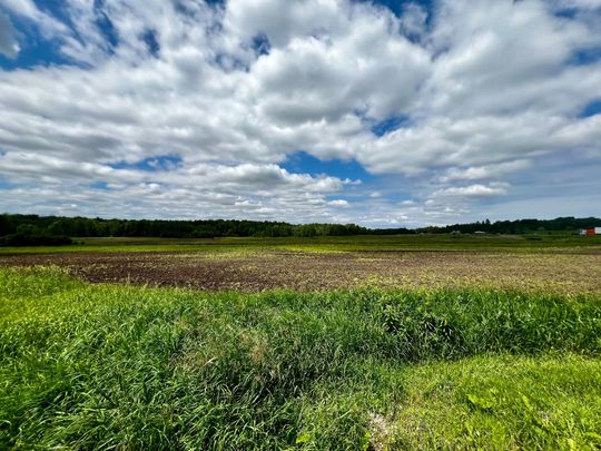 For Lease - 3526 Line 13 Line, Bradford West Gwillimbury, Ontario - Photo 1