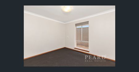 Light and Bright 4x2, available now! - Photo 5