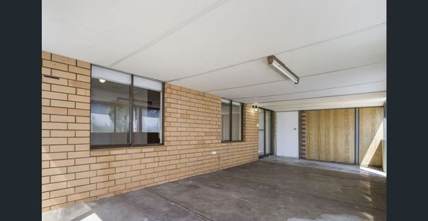 AVAILABLE NOW - Charming Country Living Surrounded by Trees - Photo 1