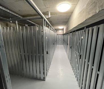 tolle 3-Zimmer-Wohnung, Einbauküche, TG-Stellplatz, Gustavsburg - Photo 1