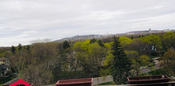 Appartement Mont-Royal À Louer - Photo 2