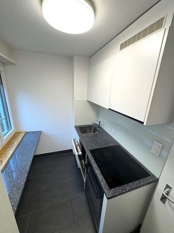 Rent a 1 room apartment in Luzern - Photo 5