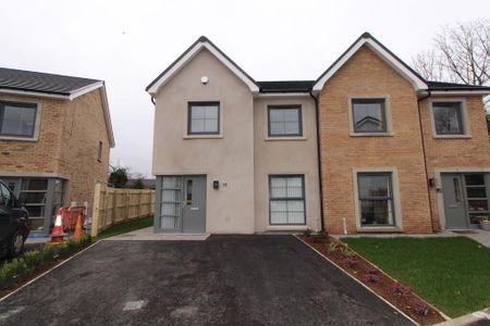 11 Avondale Court, Off Avondale Drive, Ballyclare, BT39 9YJ - Photo 5