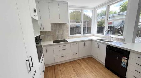 Newly Renovated Gem in Prime Hamilton East Location - Photo 4