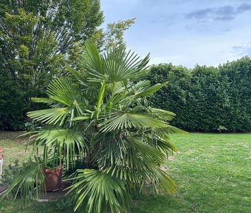 Appartement moderne de 2.5 pièces avec jardin à Mollens - Photo 6