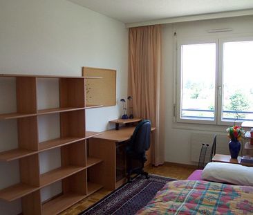 4-Zimmer-Attikawohnung, durchgehend, ruhig, Plan-les-Ouates - Photo 6