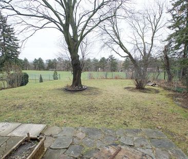 For Lease - 272 Essex (Work Out Basement) Avenue, Richmond Hill, On... - Photo 2