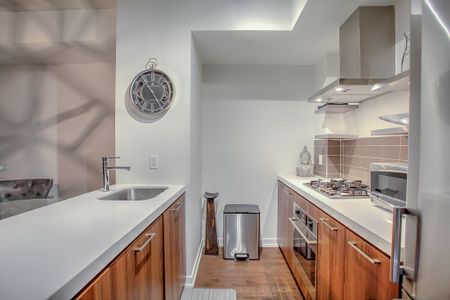 For Lease - 560 King Street Unit# 419, Toronto, Ontario - Photo 4