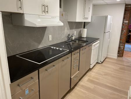 For Lease - 80 Trayborn Drive Unit# Furnished unit, Richmond Hill, Ontario - Photo 4