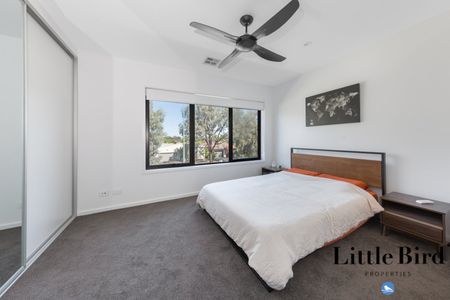 13b Negus Crescent, Watson ACT 2602 - Townhouse For Rent | Domain - Photo 3