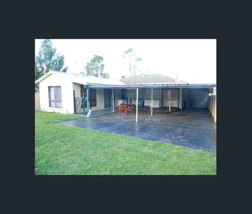 Spacious Family Home with Great Outdoor Living in Lurnea - Photo 3